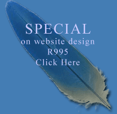 Website design special